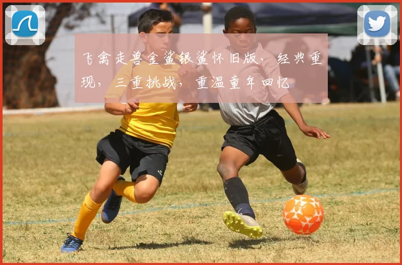 飞禽走兽金鲨银鲨怀旧版，经典重现，三重挑战，重温童年回忆