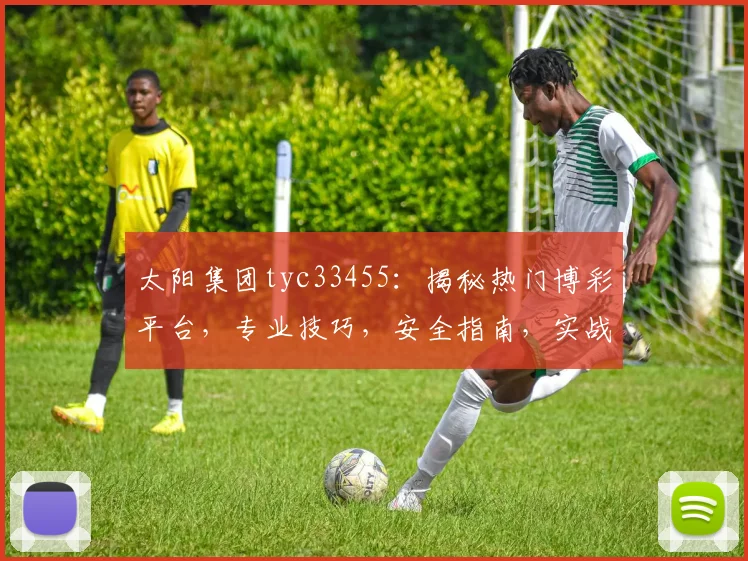 太阳集团tyc33455：揭秘热门博彩平台，专业技巧，安全指南，实战攻略一网打尽