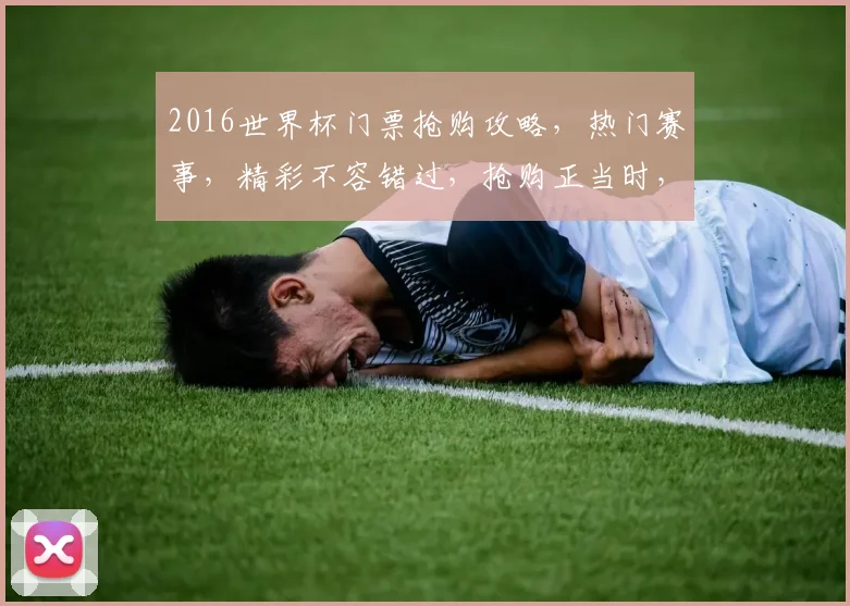 2016世界杯门票抢购攻略，热门赛事，精彩不容错过，抢购正当时，火速入手