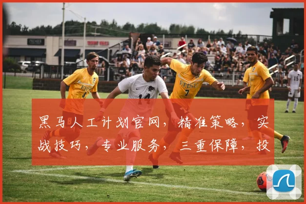 黑马人工计划官网，精准策略，实战技巧，专业服务，三重保障，投资必备