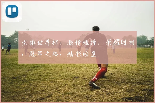 女排世界杯，激情碰撞，荣耀时刻，冠军之路，精彩纷呈