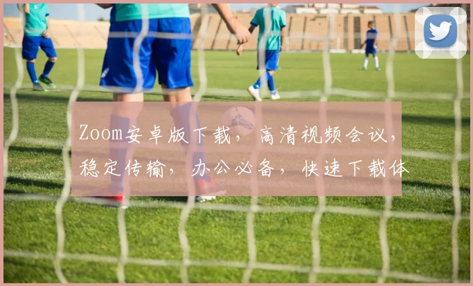 Zoom安卓版下载，高清视频会议，稳定传输，办公必备，快速下载体验