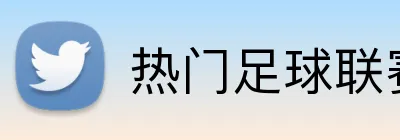 热门足球联赛投注 logo